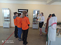 ������ ���� ������������ "������� �������������" WorldSkills �� ����������� "����������� ������������� �����"