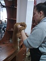 ����������������� ������������ World Skill �� ����������� ��������������� ���������. 